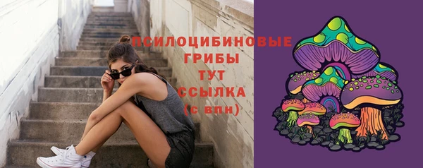 гидра Верхний Тагил