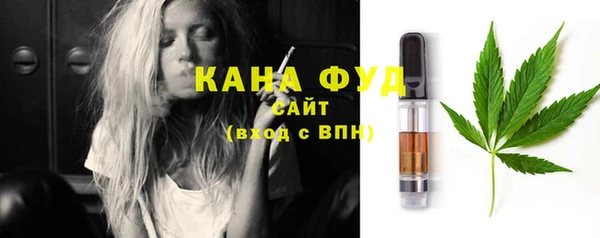 гидра Верхний Тагил