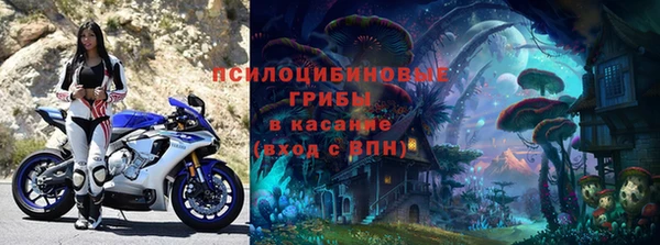 гидра Верхний Тагил