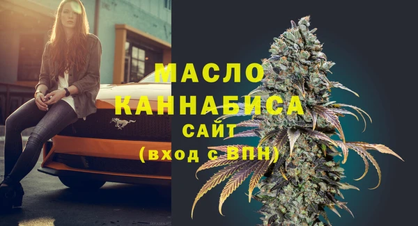 гидра Верхний Тагил