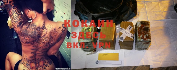 гидра Верхний Тагил
